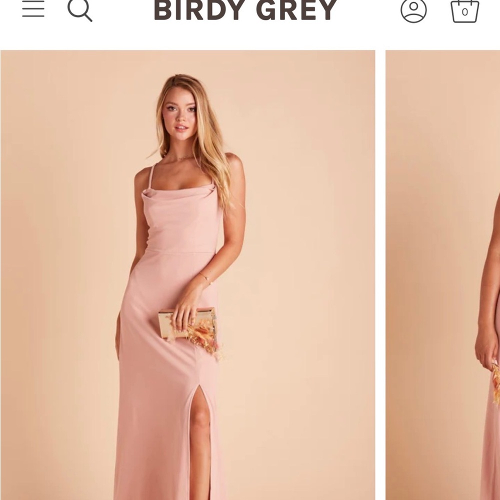 Birdy Grey Pink Maxi Dress